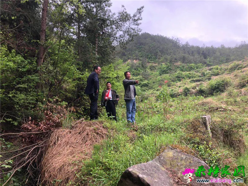 微信图片_20190422210809.webp