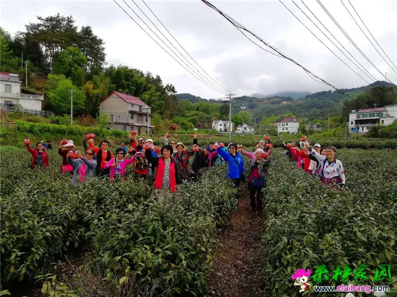 微信图片_20190423212135.webp