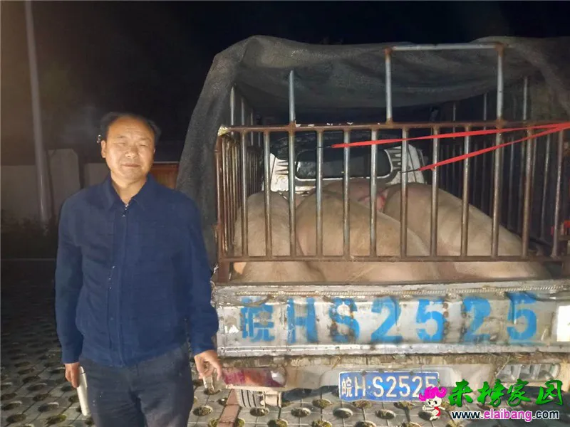 微信图片_20190425210203.webp