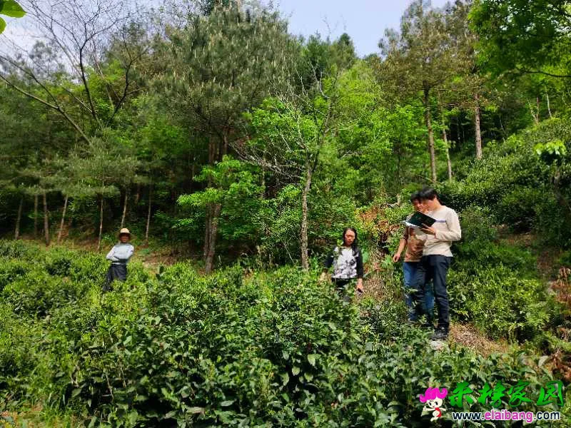 微信图片_20190425210224.webp