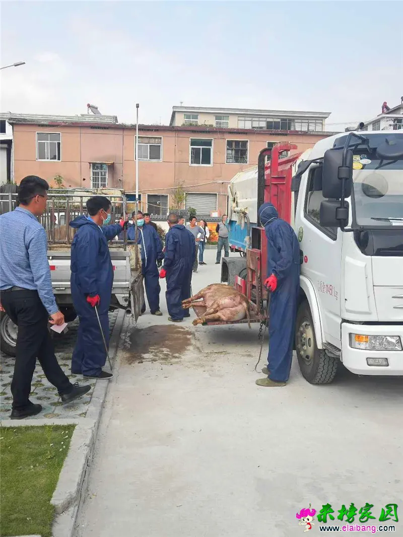 微信图片_20190425210239.webp