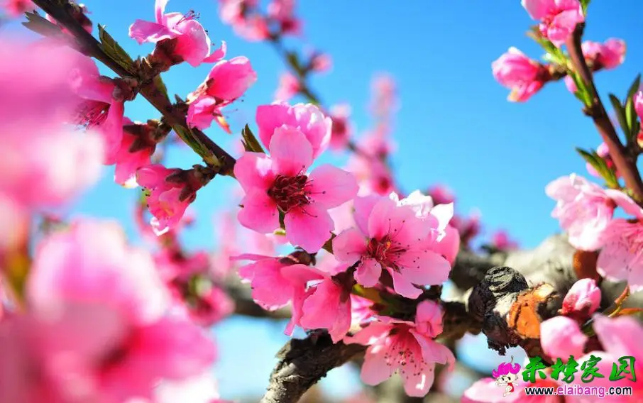 360截图16570201255235.webp