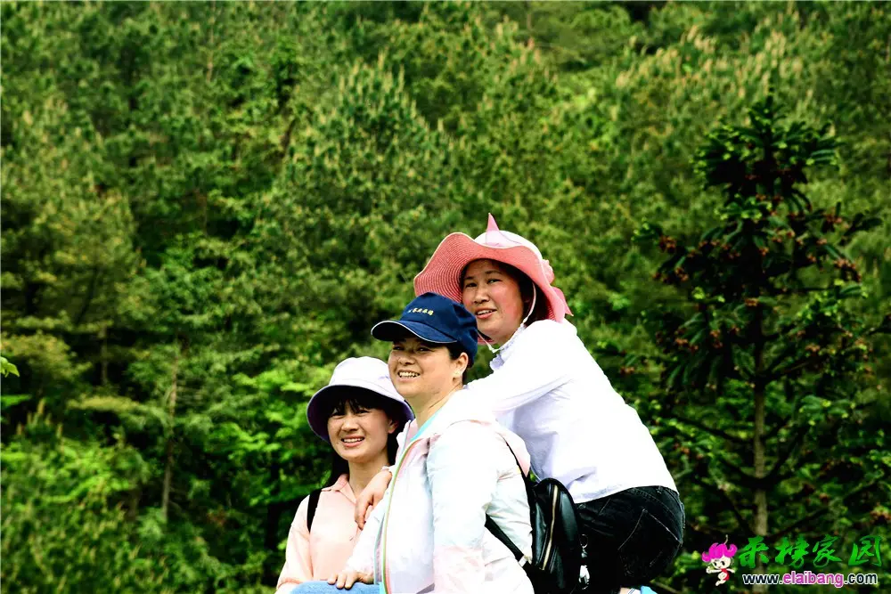 DSC_7706.webp