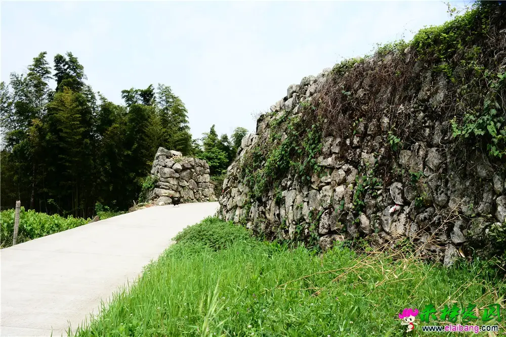 DSC_7714.webp