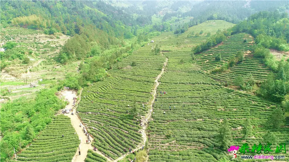 DJI_0010.webp