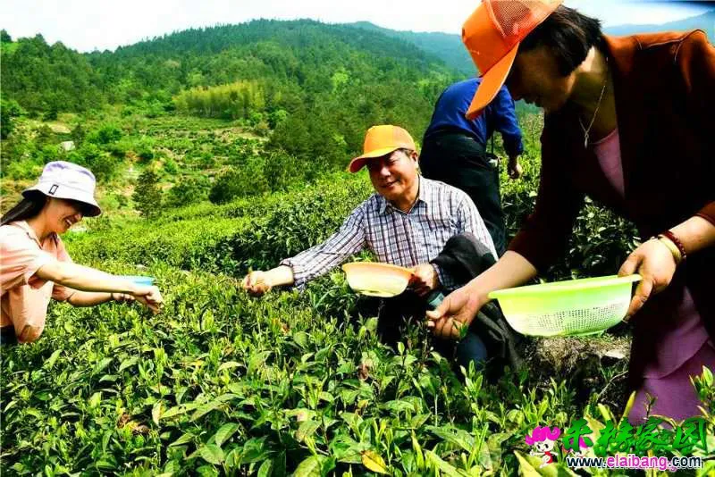 微信图片_20190426222318.webp