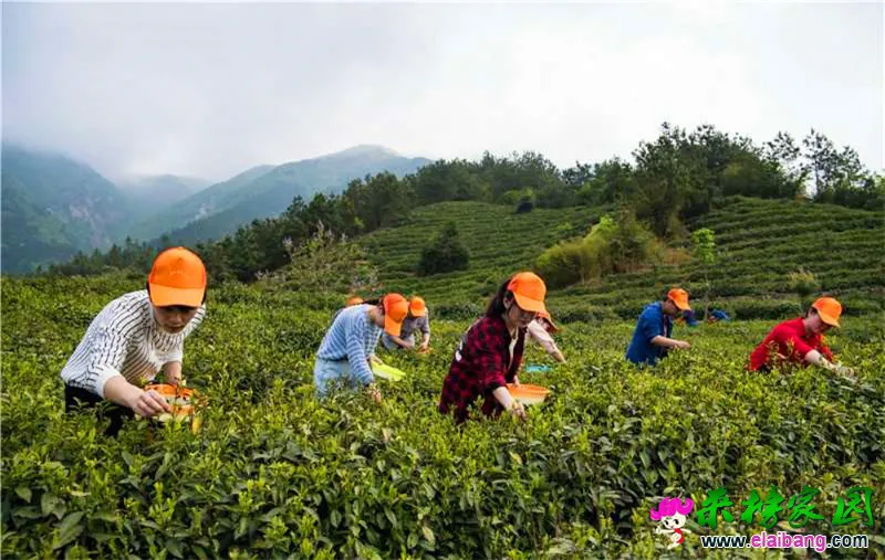 微信图片_20190426222321.webp