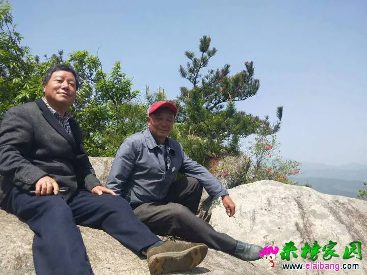 184732cj33i6ptx7ikx69y.webp