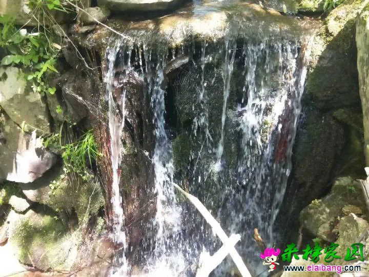 184738nl711qr2x4v2v16q.webp
