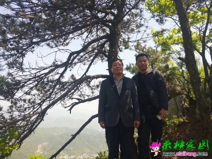 184740p7kjlwo4b7ejjo8a.webp