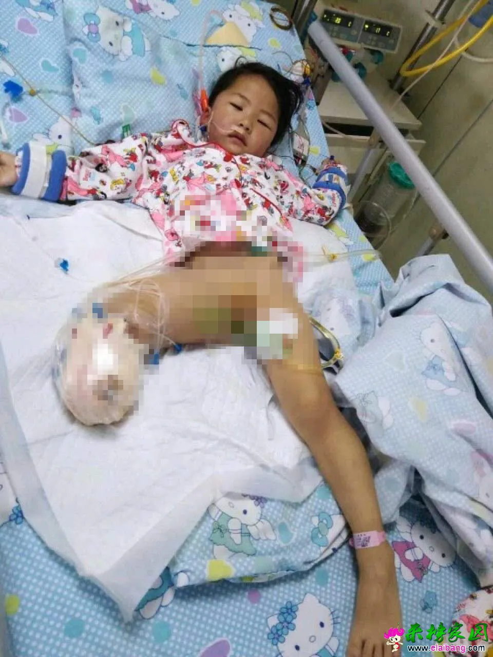 微信图片_20190502205331.webp