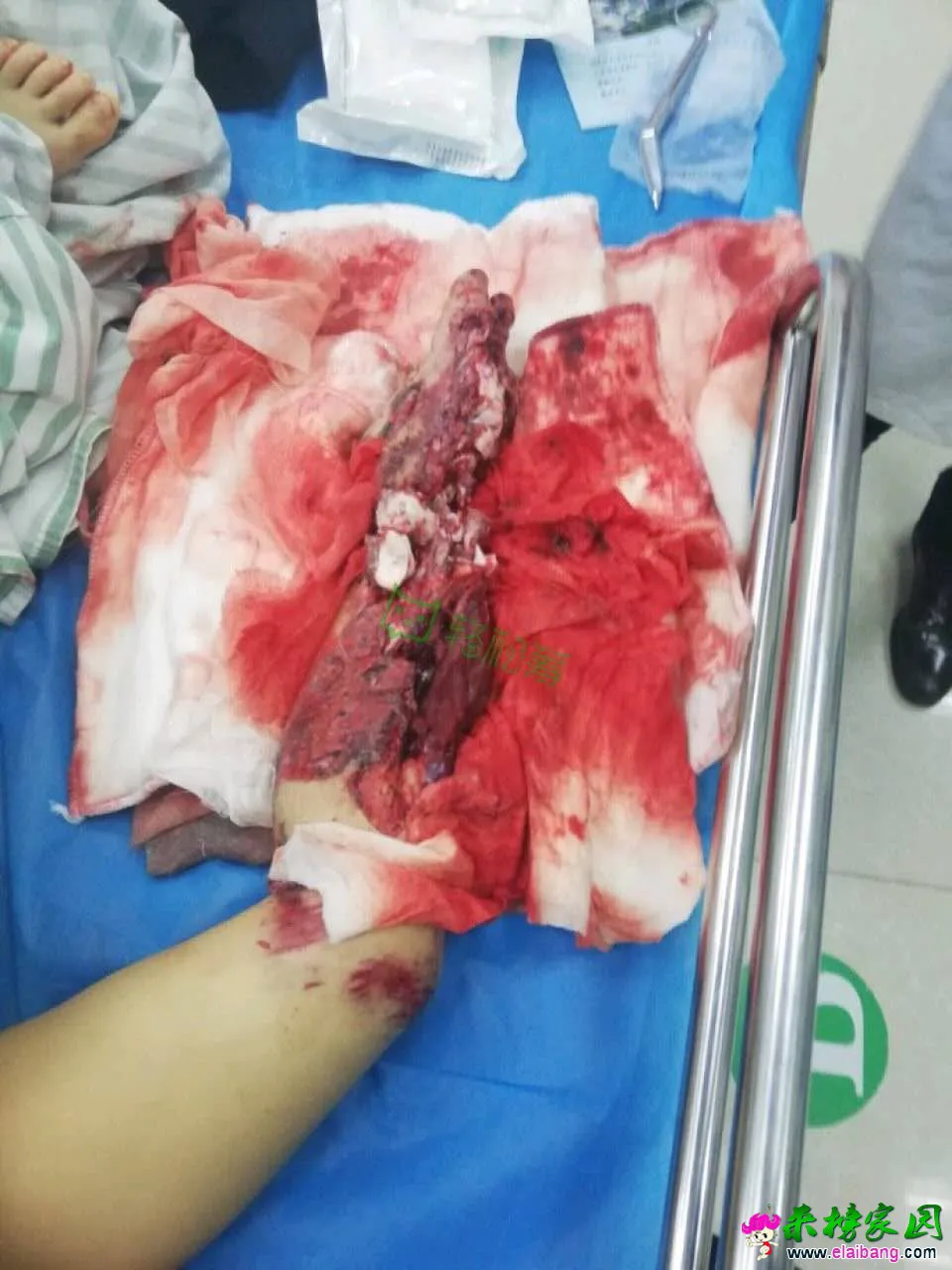 微信图片_20190502205339.webp