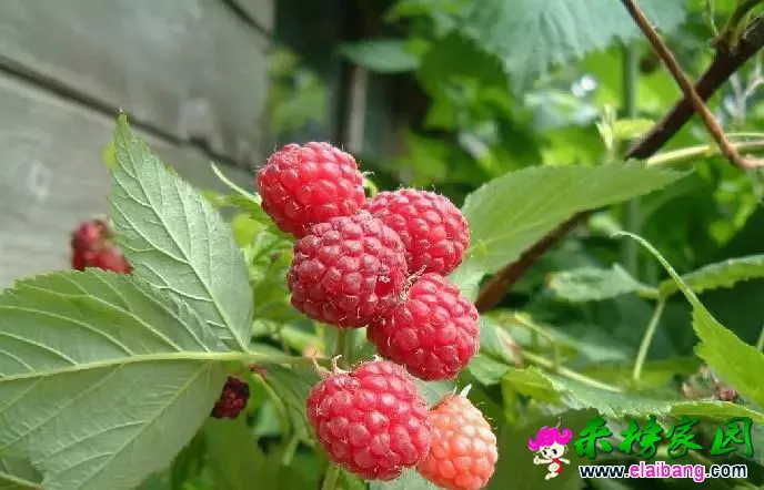 ce7c535146e71b186f514b700e6b3348.webp