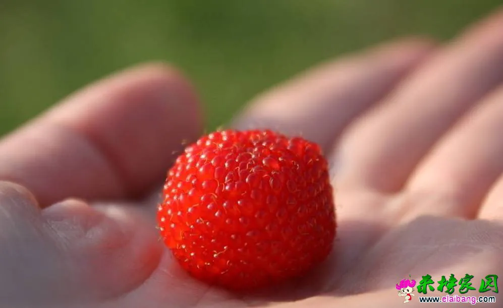 1e9ce63b7b4c6c4c01b0a35e4e07de4a.webp