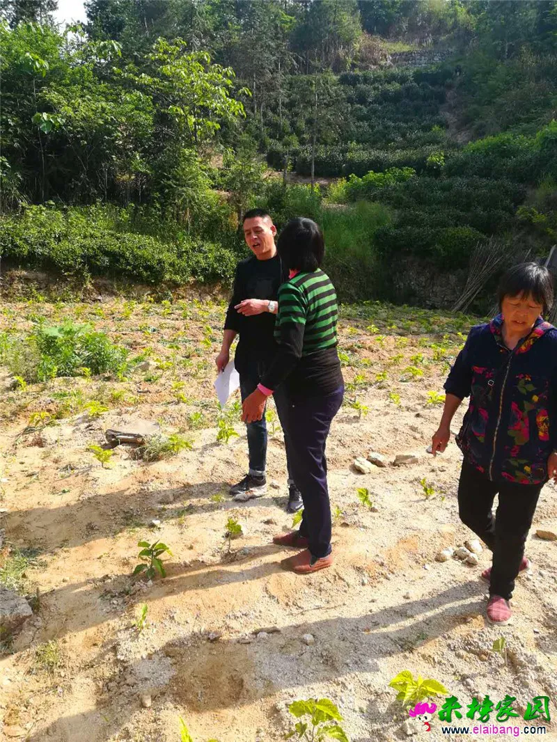微信图片_20190505220423.webp