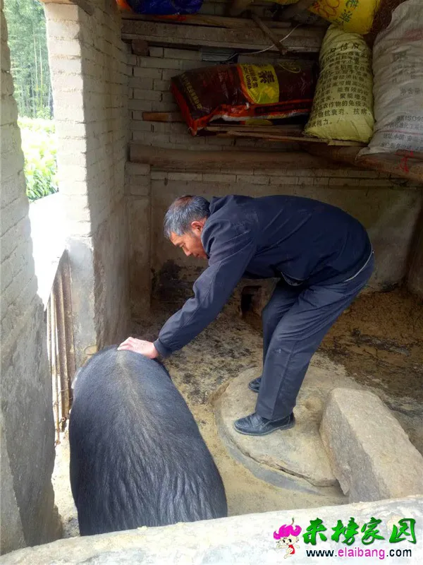 微信图片_20190508203042.webp