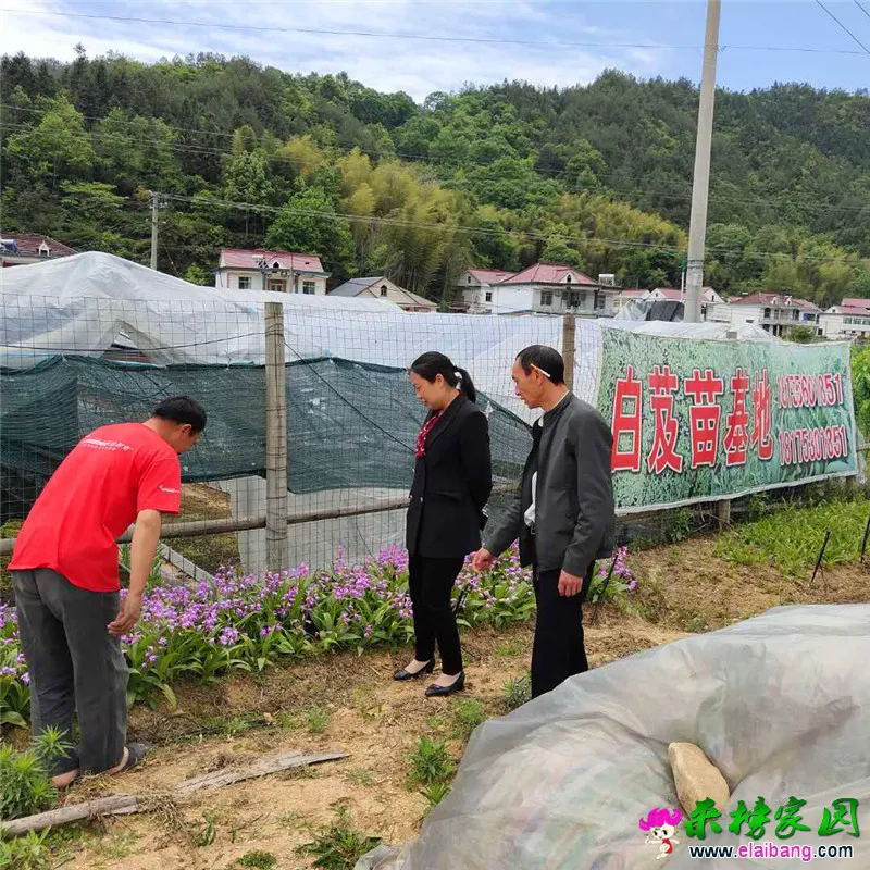 微信图片_20190508203106.webp