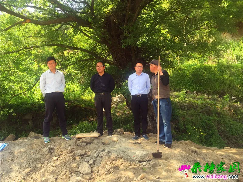微信图片_20190510164819.webp