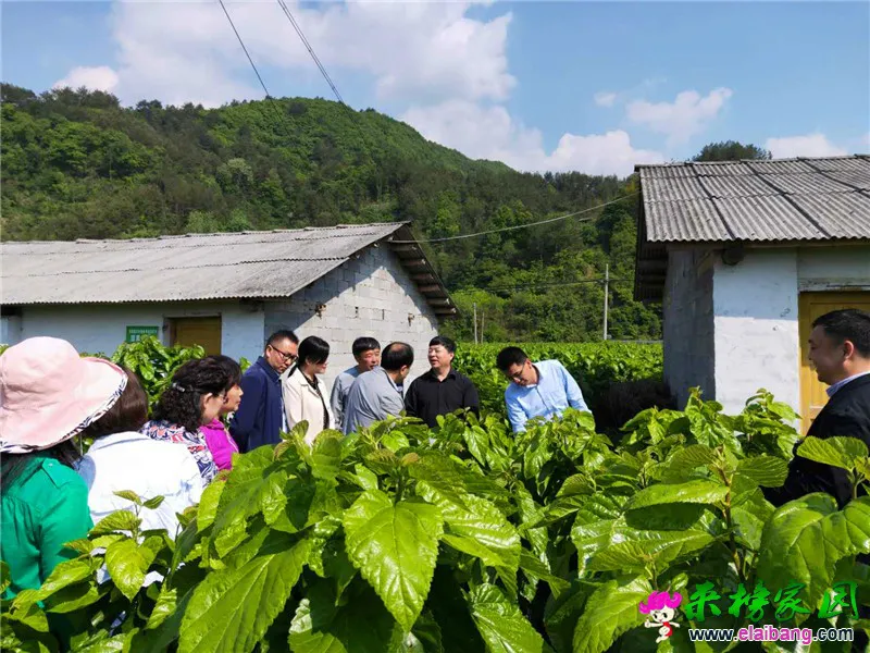 微信图片_20190510164811.webp