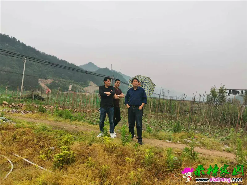 微信图片_20190513182722.webp