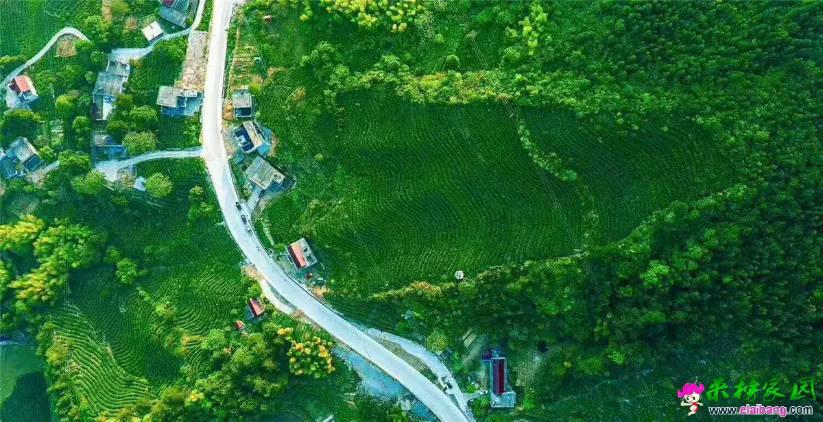 微信图片_20190513183319.webp