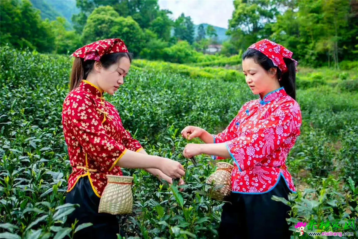 微信图片_20190513183313.webp