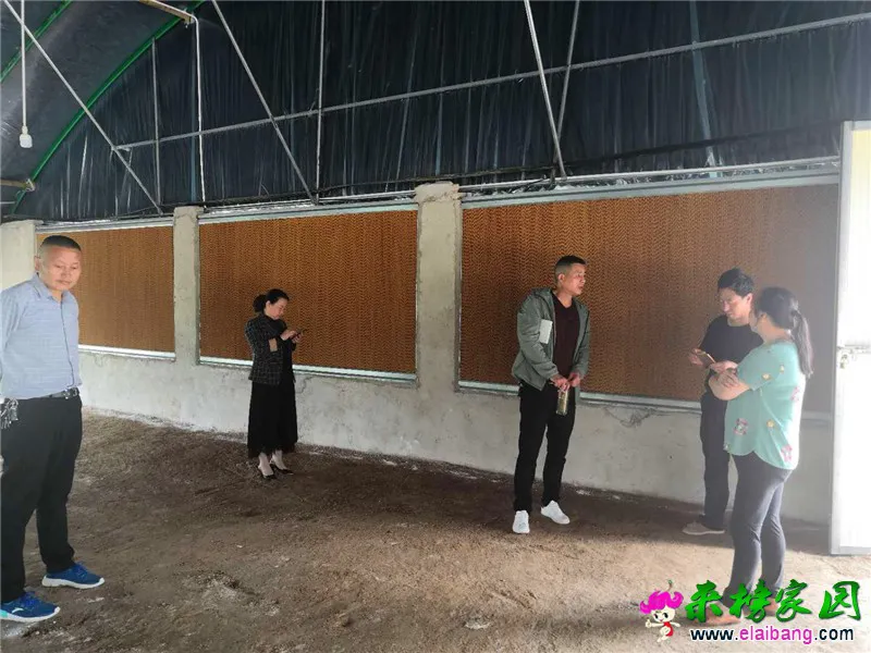 微信图片_20190514204845.webp