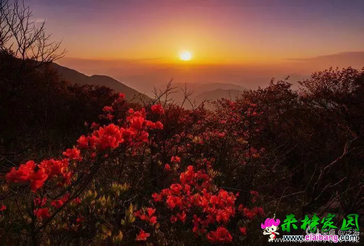 84fc0130780ff4b9988773d823cc5638.webp