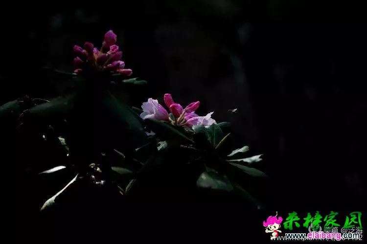 a6880e8e15f663efe238a6a5e25bacd5.webp