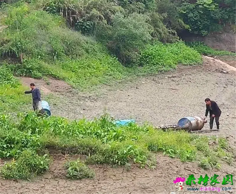 微信图片_20190515211551.webp
