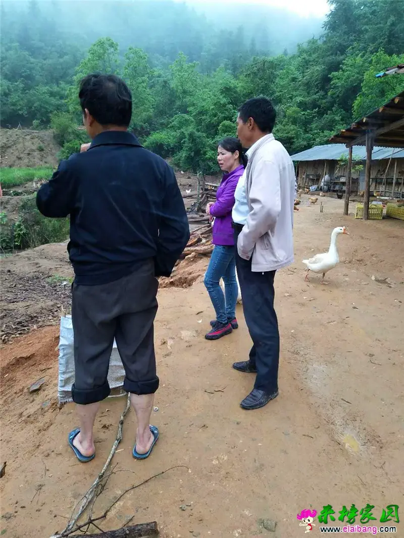 微信图片_20190515211600.webp