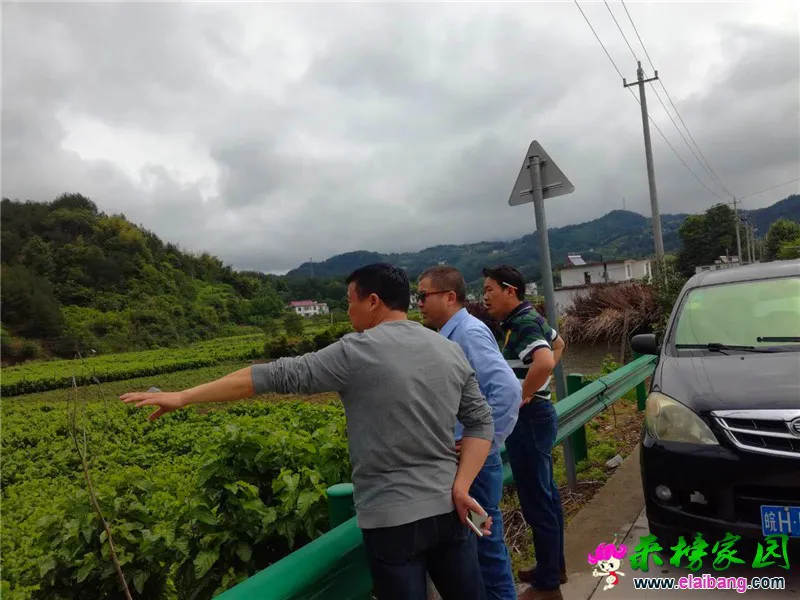 微信图片_20190516204424.webp