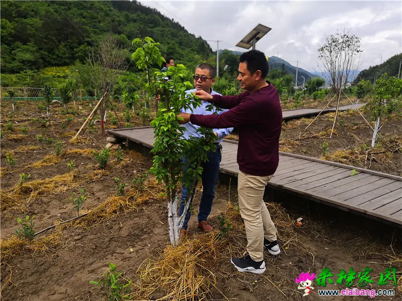 微信图片_20190516205303.webp