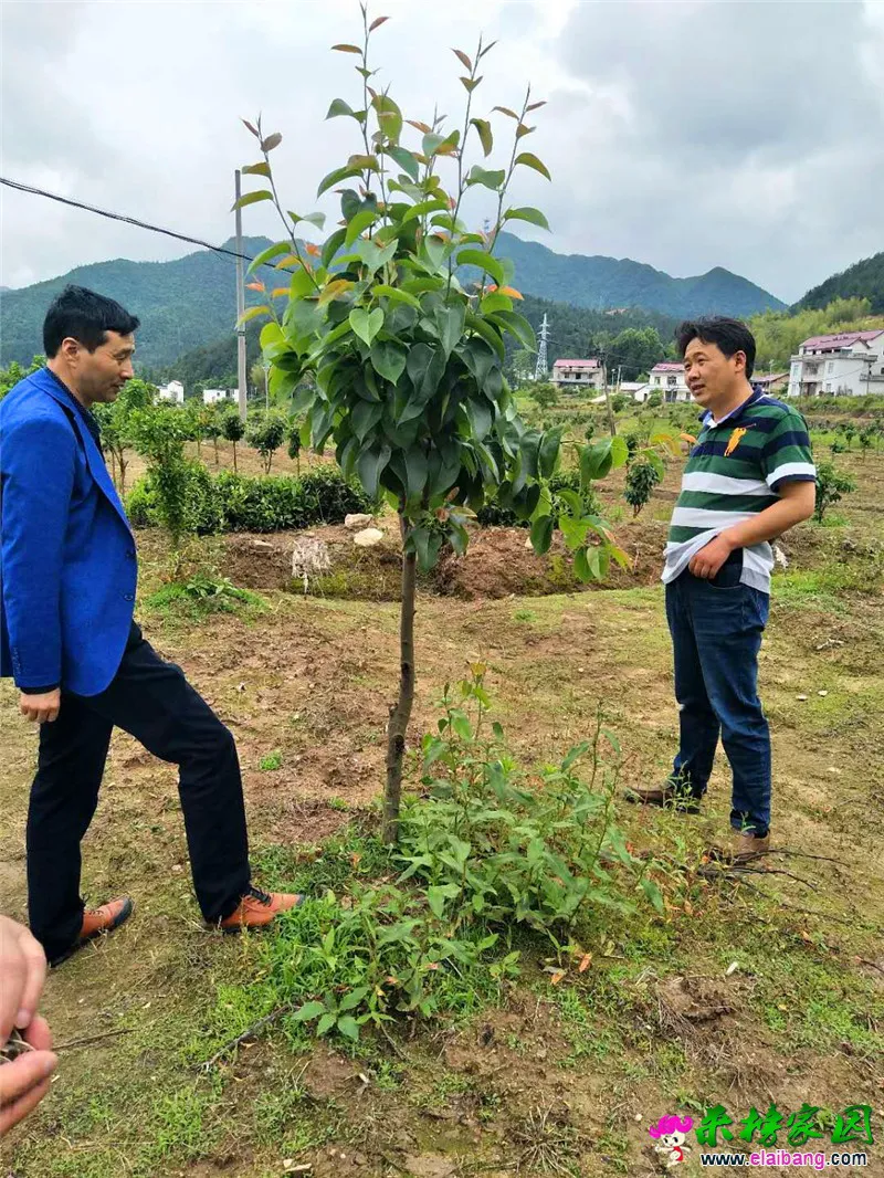 微信图片_20190516205334.webp
