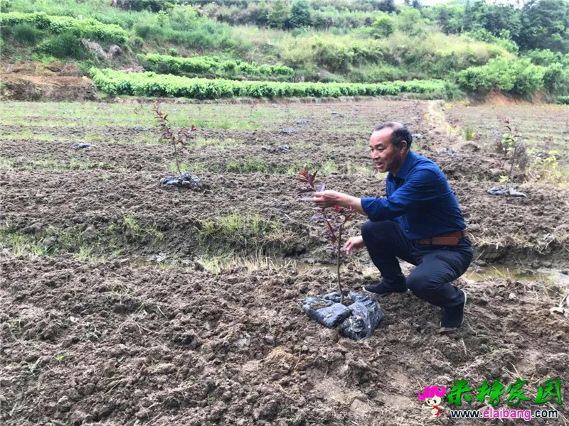 微信图片_20190517154201.webp