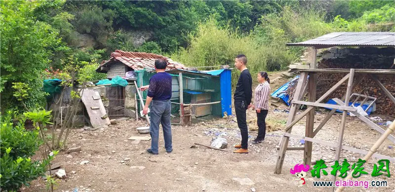微信图片_20190517154215.webp