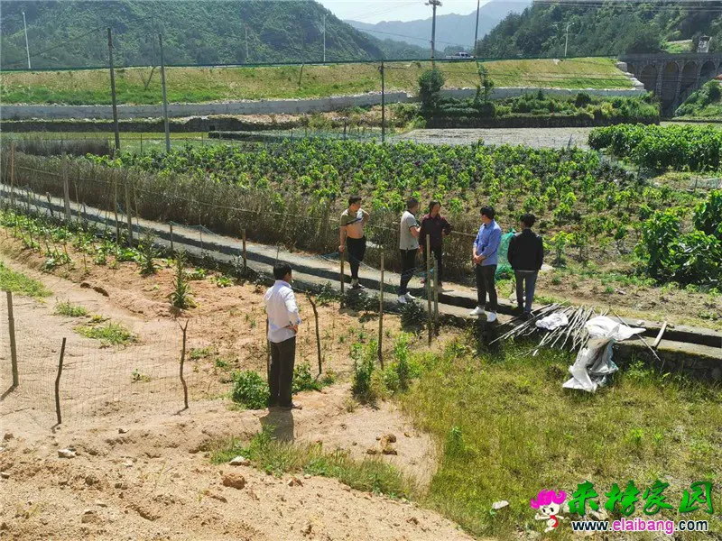 微信图片_20190520215017.webp