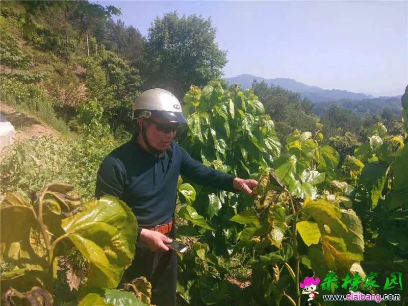微信图片_20190522202002.webp