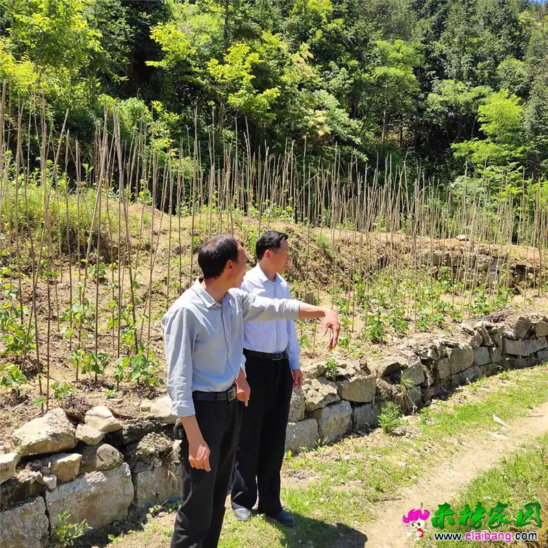 微信图片_20190523174254.webp