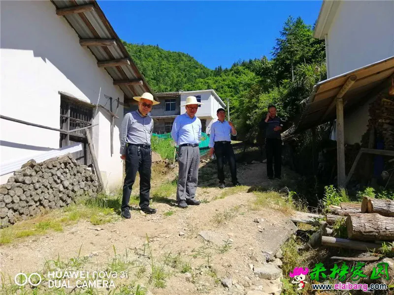 微信图片_20190523174250.webp