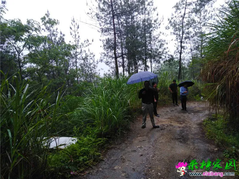 微信图片_20190525223431.webp
