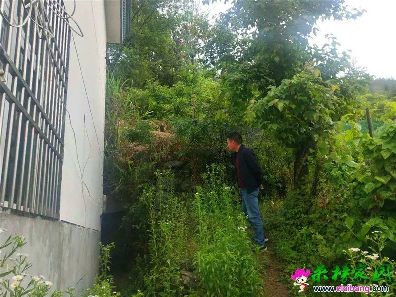 微信图片_20190525223521.webp