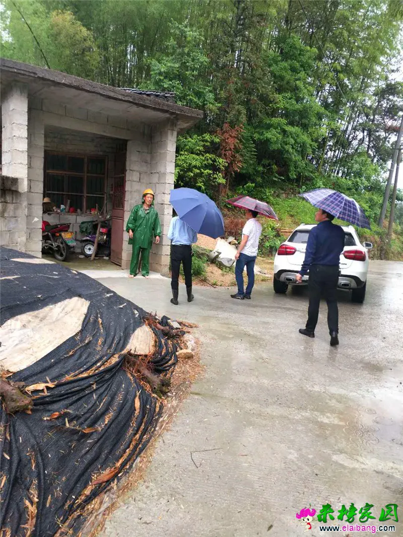 微信图片_20190525223515.webp