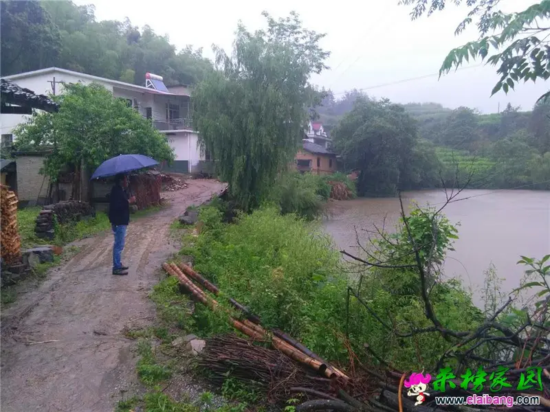 微信图片_20190526105542.webp