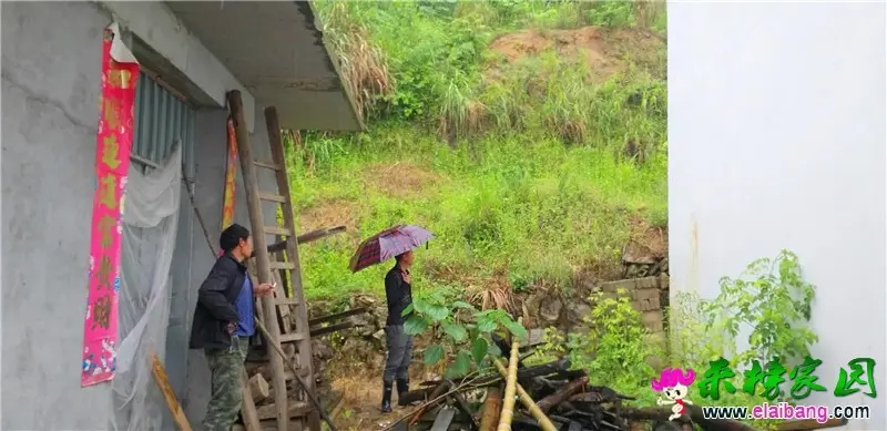 微信图片_20190526105630.webp