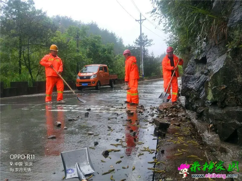 微信图片_20190526105637.webp