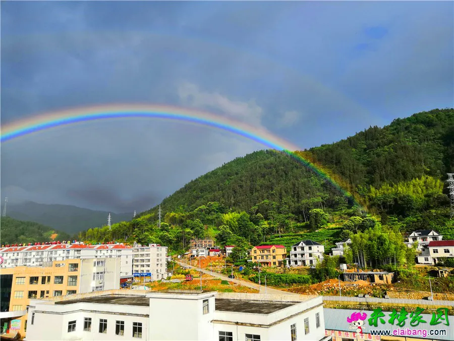 微信图片_20190526213036.webp
