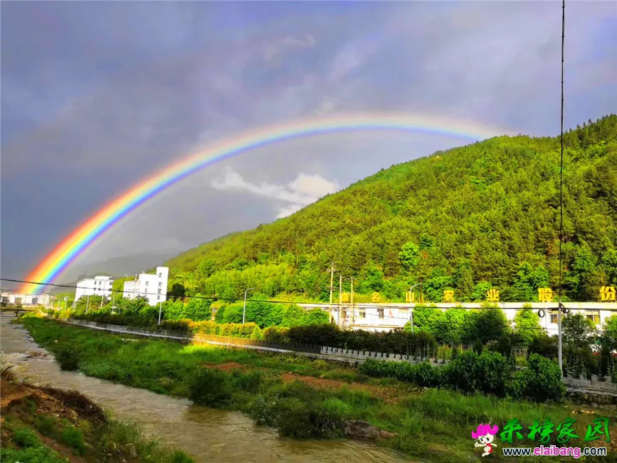 微信图片_20190526213238.webp