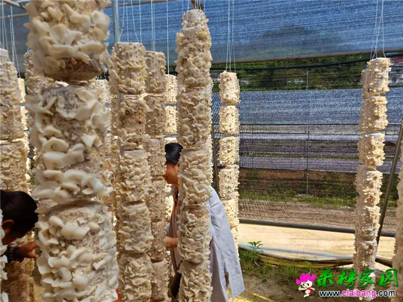微信图片_20190528104606.webp