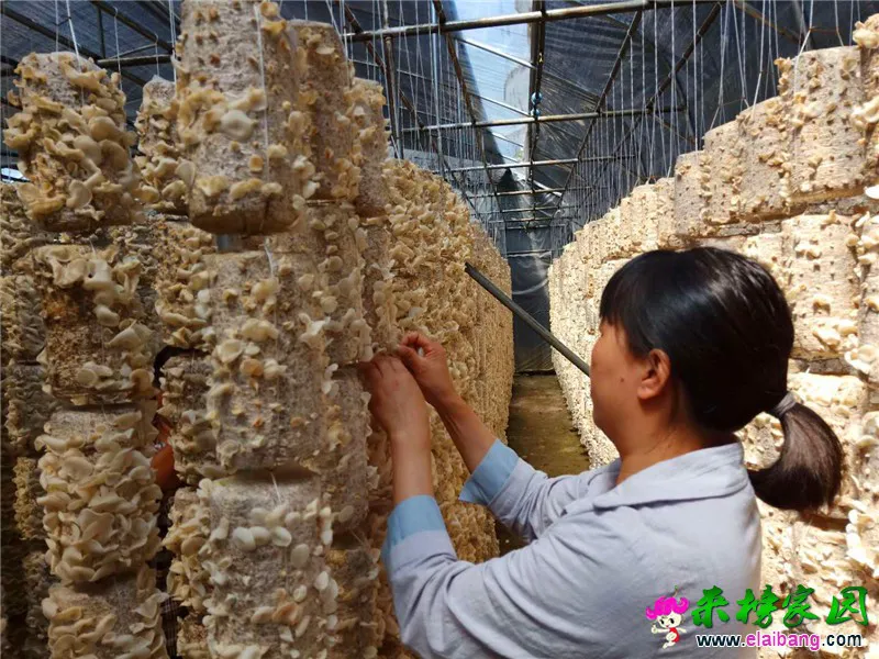 微信图片_20190528104610.webp
